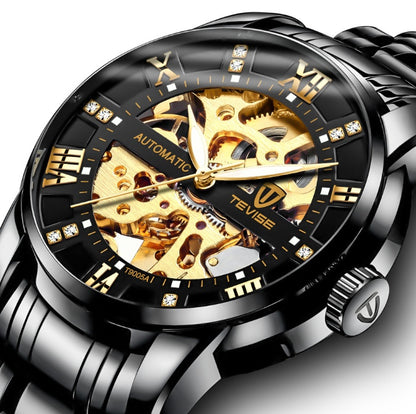 Men's Automatic Mechanical Hollow Skeleton Watch, Valdore